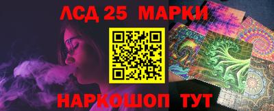 СК Бийск