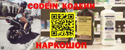 СК Бийск