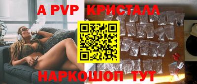 СК Бийск