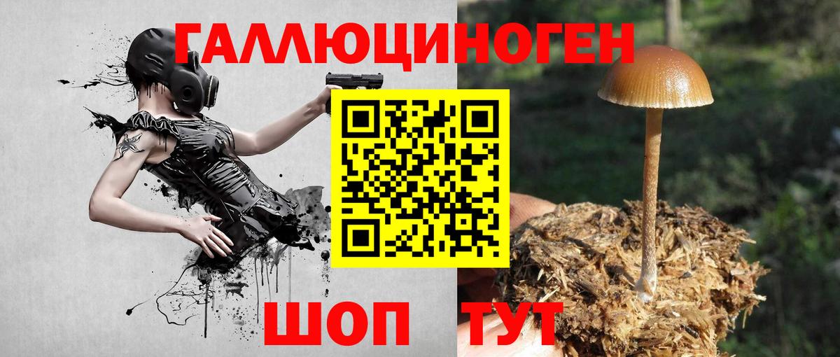 Галлюциногенные грибы Psilocybe  Вход с VPN  Галлюциногенные грибы ЛСД  Ижевск 