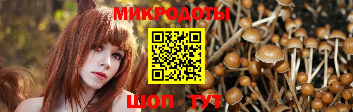 Псилоцибиновые грибы Magic Shrooms Ижевск